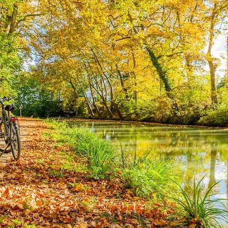 Le Sicre - T3 Confort, Centre Castelsarrasin, Parking Castelsarrasin